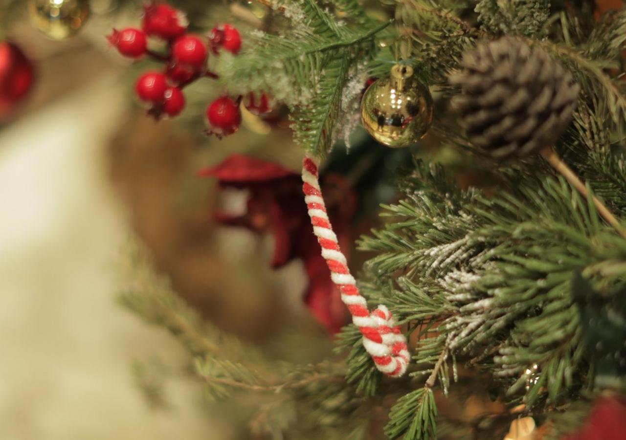 ホテル ゲフィノア ロターナ ベイルート エクステリア 写真 A candy cane on a Christmas tree